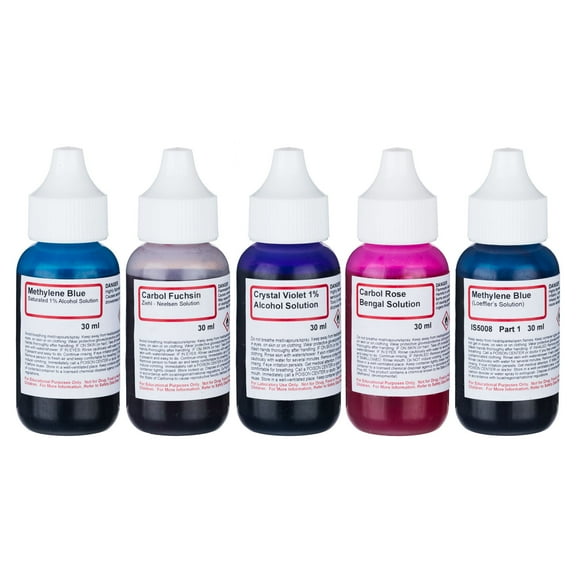 AmScope Bacteria Stain Kit of Five Chemicals for Preparing Microscope Slides New