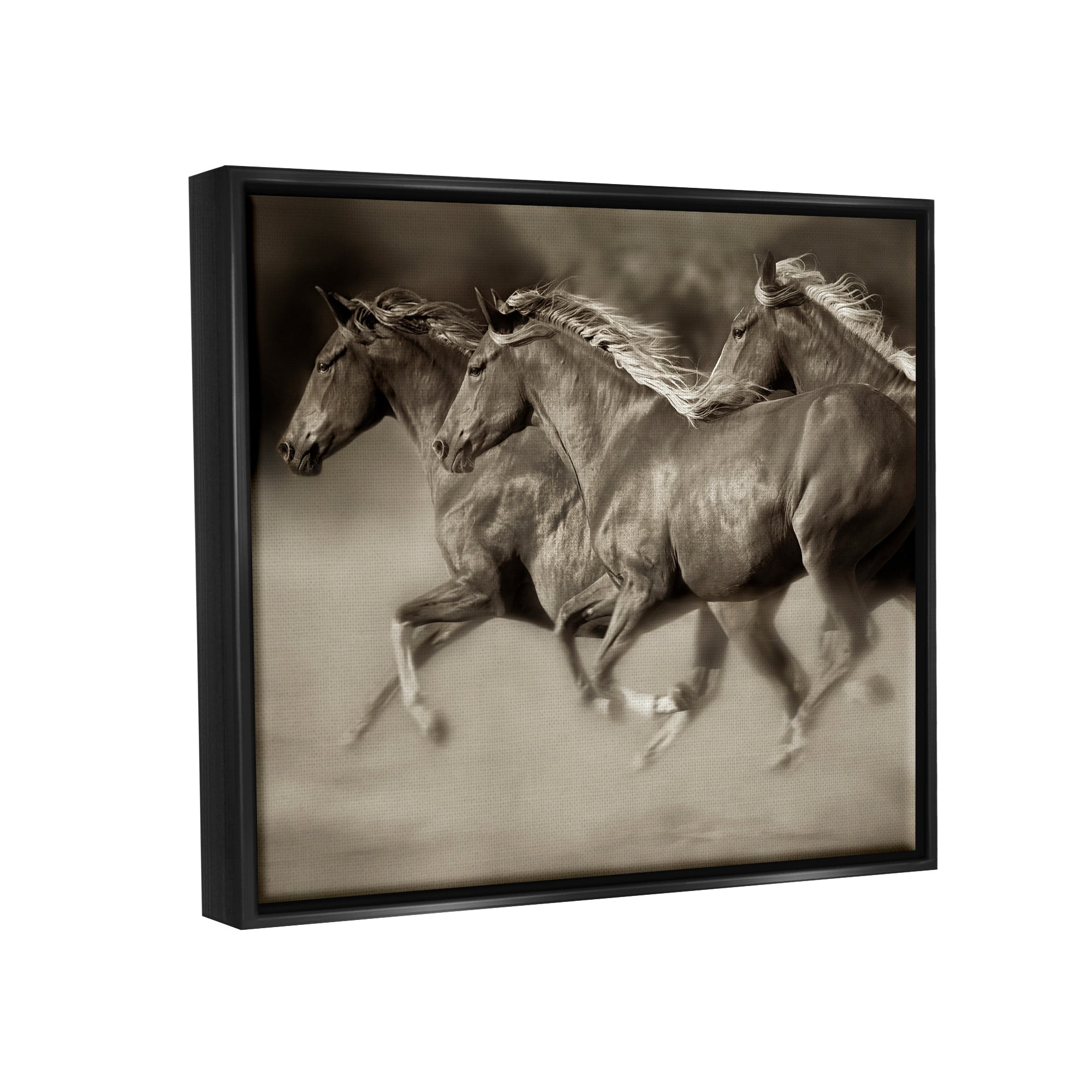 Stupell Industries Galloping Horse Herd Trotting Wild Animal Photography Photograph Jet Black Floating Framed Canvas Print Wall Art, Design by Lisa Dearing
