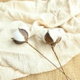 thumbnail image 3 of 23 Inches Natural White Cotton Stem Flowers Cotton Boll Branches Farmhouse Rustic Style Vase Display Filler Floral Wedding Centerpiece Decorations, 3 of 11