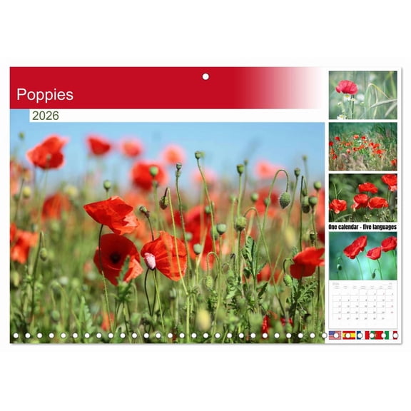 Poppies (Monthly Wall Calendar 2026 11.7 x 16.5 (open)), CALVENDO 14 Month Calendar