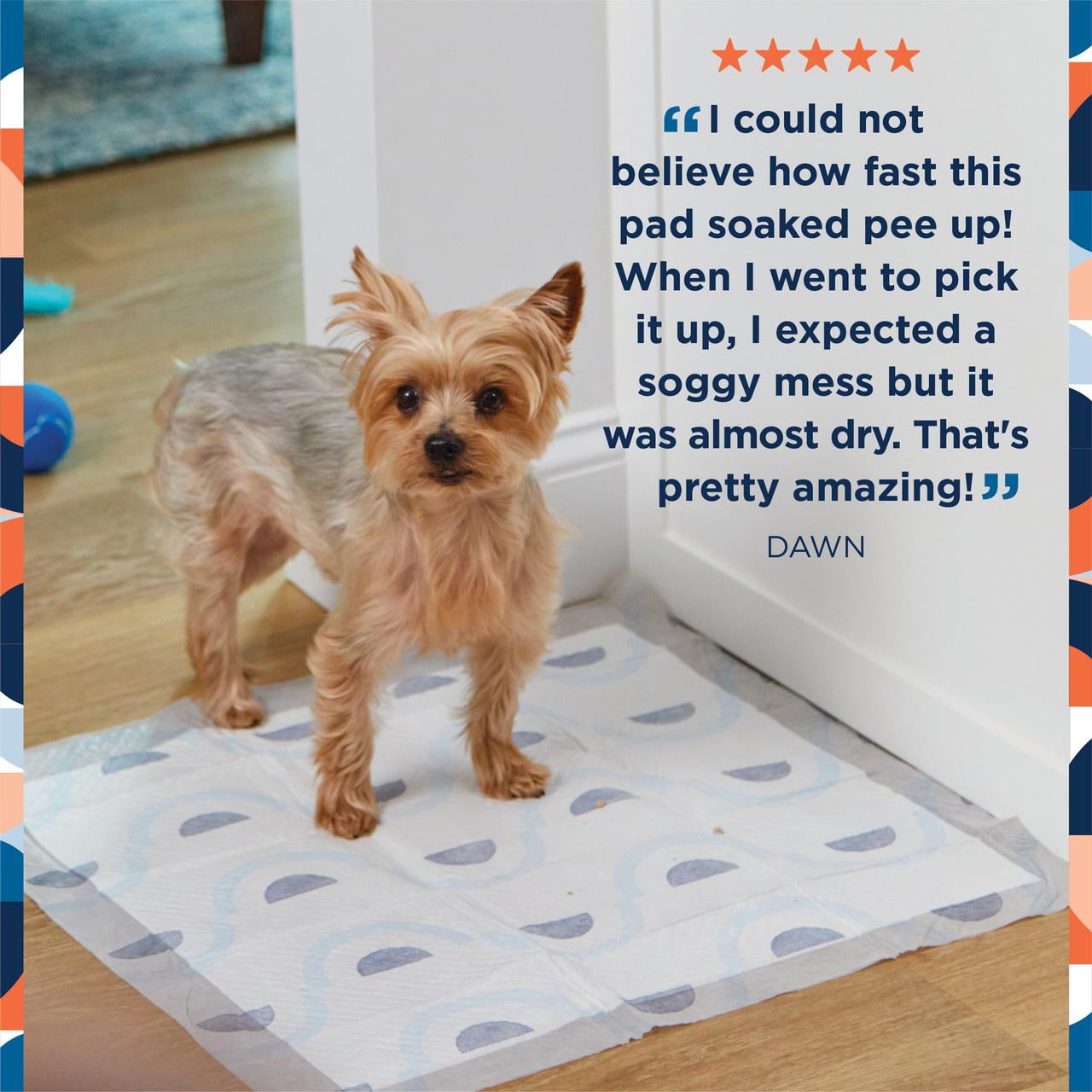 (2 pack) Pet Life Unlimited Dog Pads, Smart Prints, Large, Sunshine & Rainbows Print, 75ct