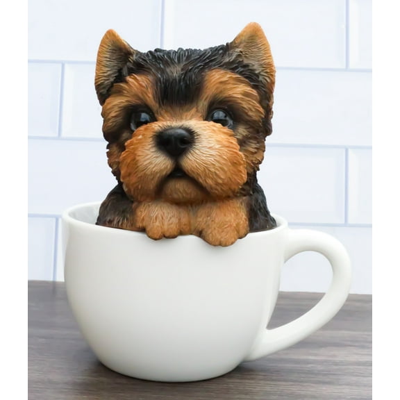 Realistic Adorable Yorkie Dog in Teacup Statue 6"H Pet Pal Yorkshire Terrier