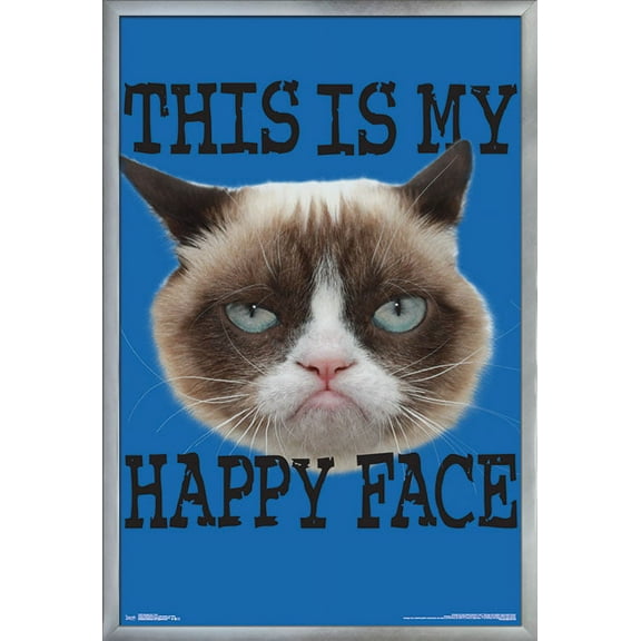 Grumpy Cat - Face Wall Poster, 22.375" x 34", Framed