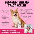 thumbnail image 3 of Cranberry UTI Chews for Dogs Bladder Support + D-Mannose Supports Kidney Urinary Tract and Bladder Health Natural Cranberry Wellness Supplement Immune System Booster Natural Pet Antioxidant 30 Chews, 3 of 4