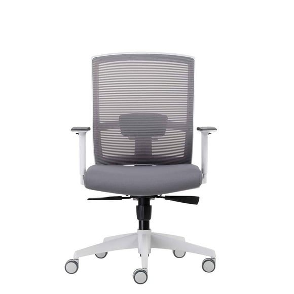 Silla Oficina Ergonómica con soporte lumbar ajustable Taylor Gris