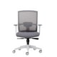 thumbnail image 1 of Silla Oficina Ergonómica con soporte lumbar ajustable Taylor Gris, 1 of 5