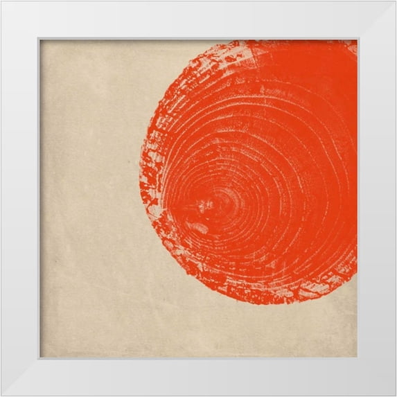Murdock, Ramona 20x20 White Modern Wood Framed Museum Art Print Titled - Tree Stump Tangerine