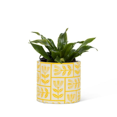 Set of 2 Small Floral Grid Planter