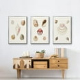 thumbnail image 6 of Pastel Knorr Shells IV - Framed Premium Gallery Wrapped Canvas L Frame 3 Piece Set - Ready to Hang, 6 of 9