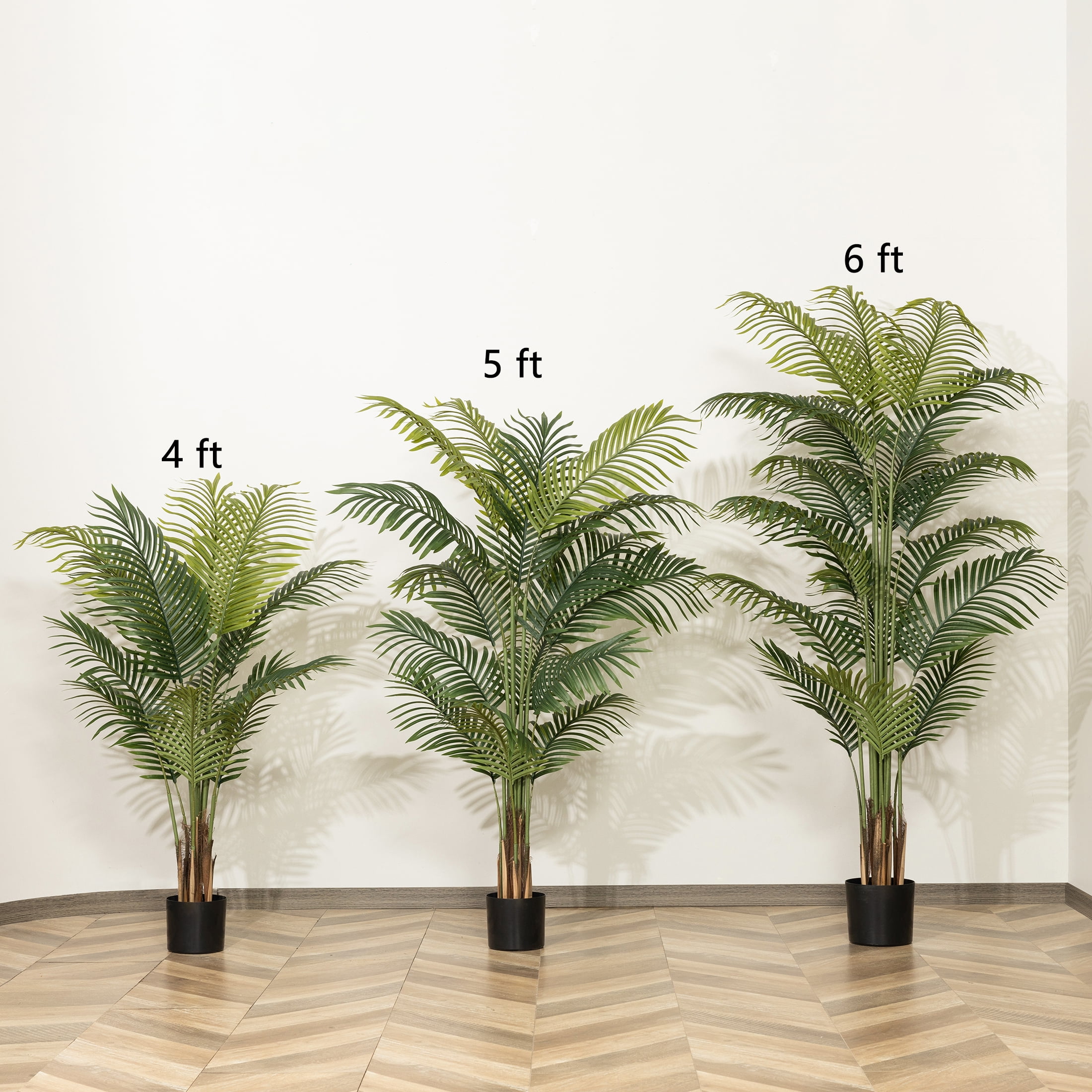 house plants for low light Buy Low Light Houseplant Bundle