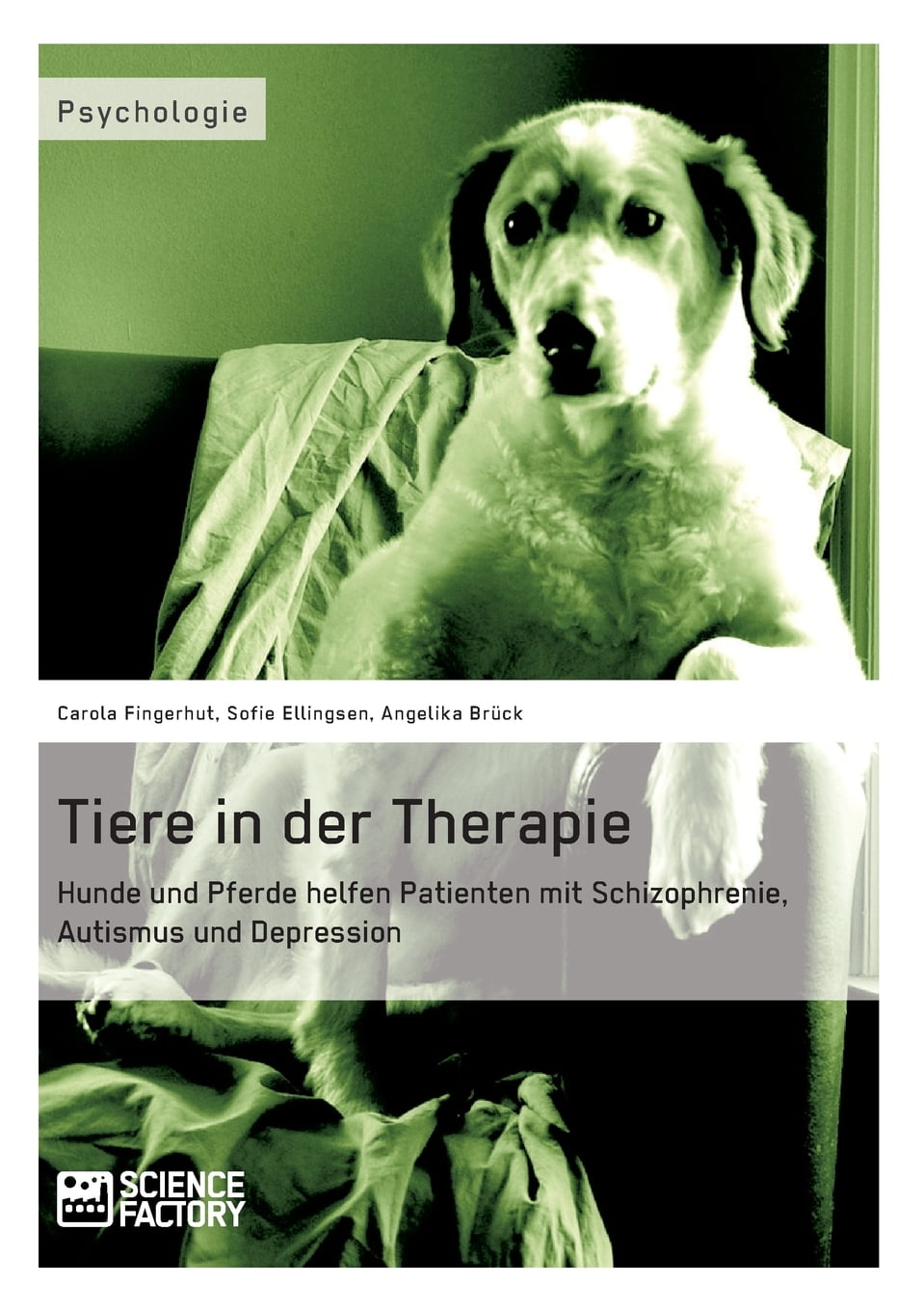 Tiere in der Therapie Hunde und Pferde helfen Patienten mit