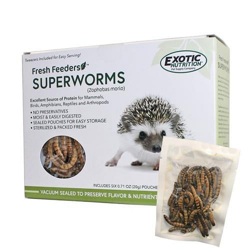 Exotic Nutrition Fresh Feeders Superworms