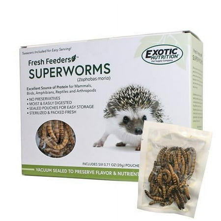 UPC: 0810012540612 | Exotic Nutrition Fresh Feeders Superworms