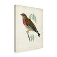 thumbnail image 2 of Trademark Fine Art 'Morris Linnet' Canvas Art by Morris, 2 of 4