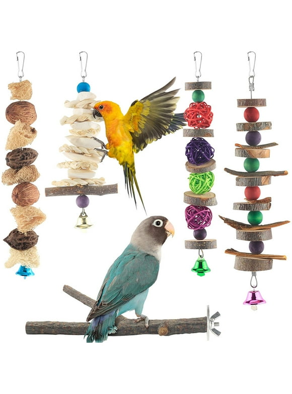 Bird Toys in Birds