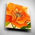 thumbnail image 5 of Epic Art 'Copper Petals II' by Annie Warren, Acrylic Glass Wall Art, 12"x12", 5 of 8