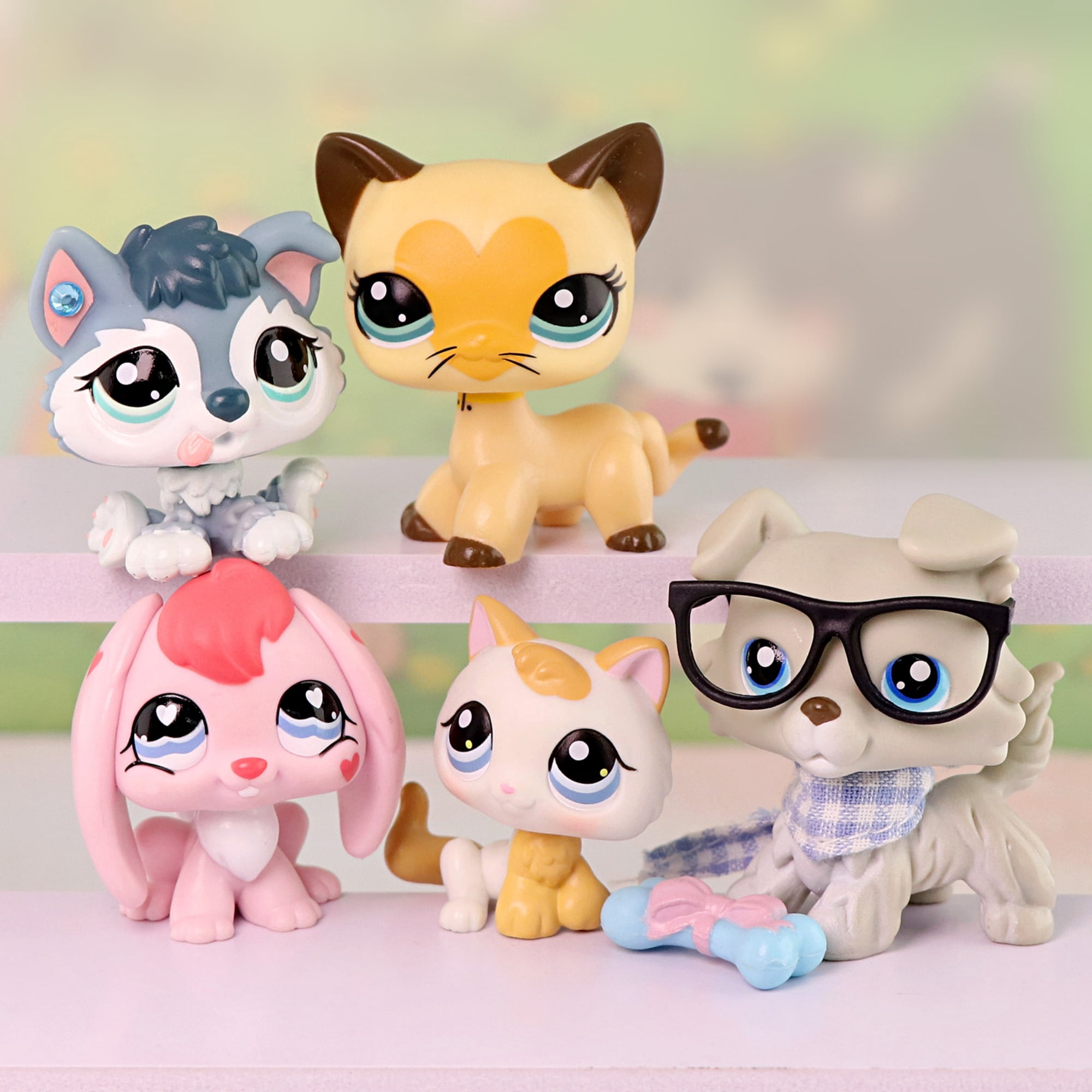 5pcs Mini Pet Toys Bunny Rabbit Collie Short Hair Cat Husky Puppy Kitten Cat with Accessories