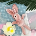 thumbnail image 2 of Less Than 5 Hangs Plush Pendant Rabbit Doll Valentine's Day Pendant Flower Decoration Gift, 2 of 3