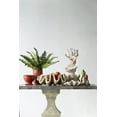 thumbnail image 2 of Medium Clam Shell Accent - Natural, 2 of 2