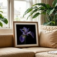 thumbnail image 2 of Blue Flag Iris - Photography Floral Botanical Flowers Nature Garden Scenic Minimalist Oak Framed Wall Art Print 8 x 8 inches, 2 of 8