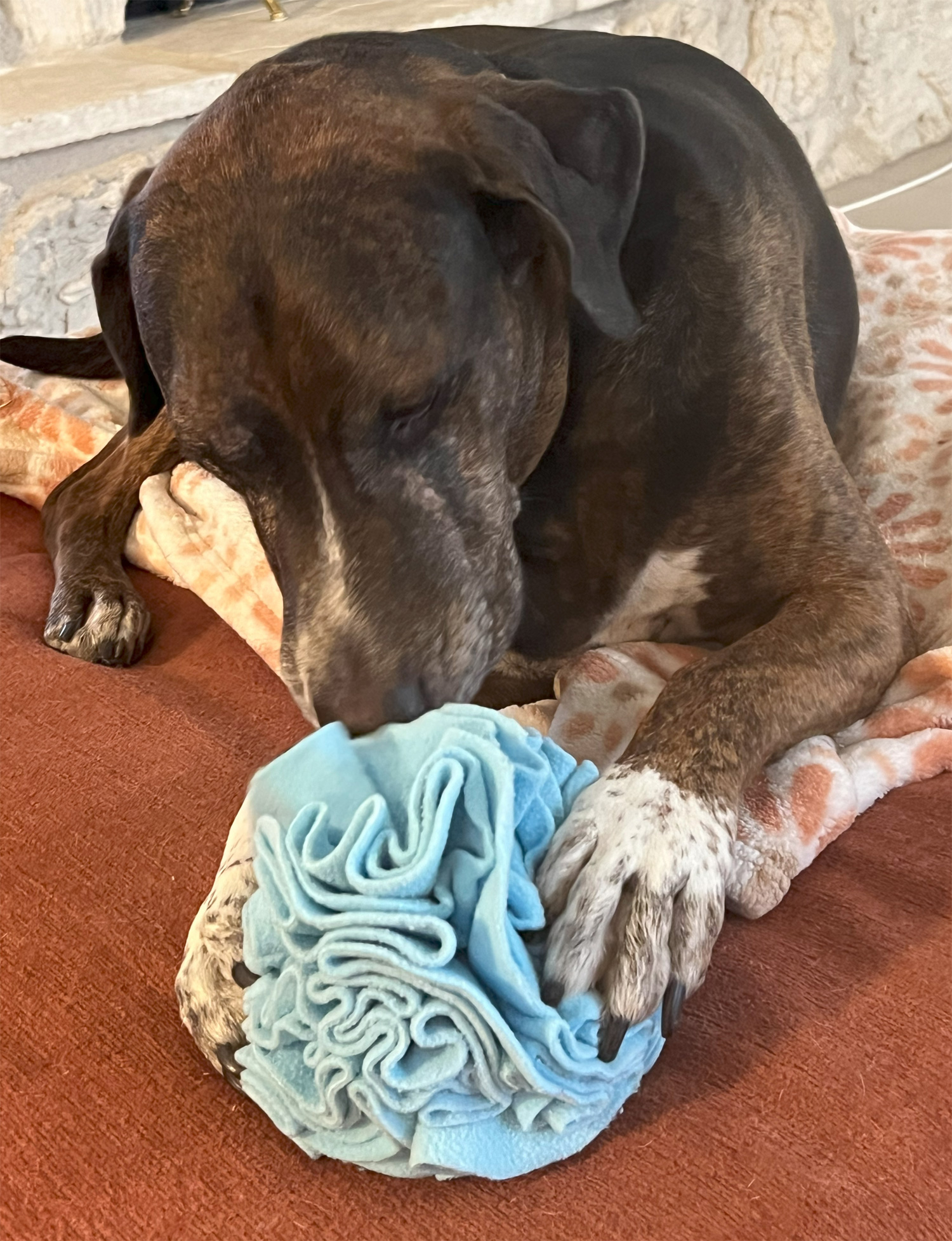 Blue Snuffle Interactive Foraging Dog Puzzle Ball Toy for Puppy and Adult