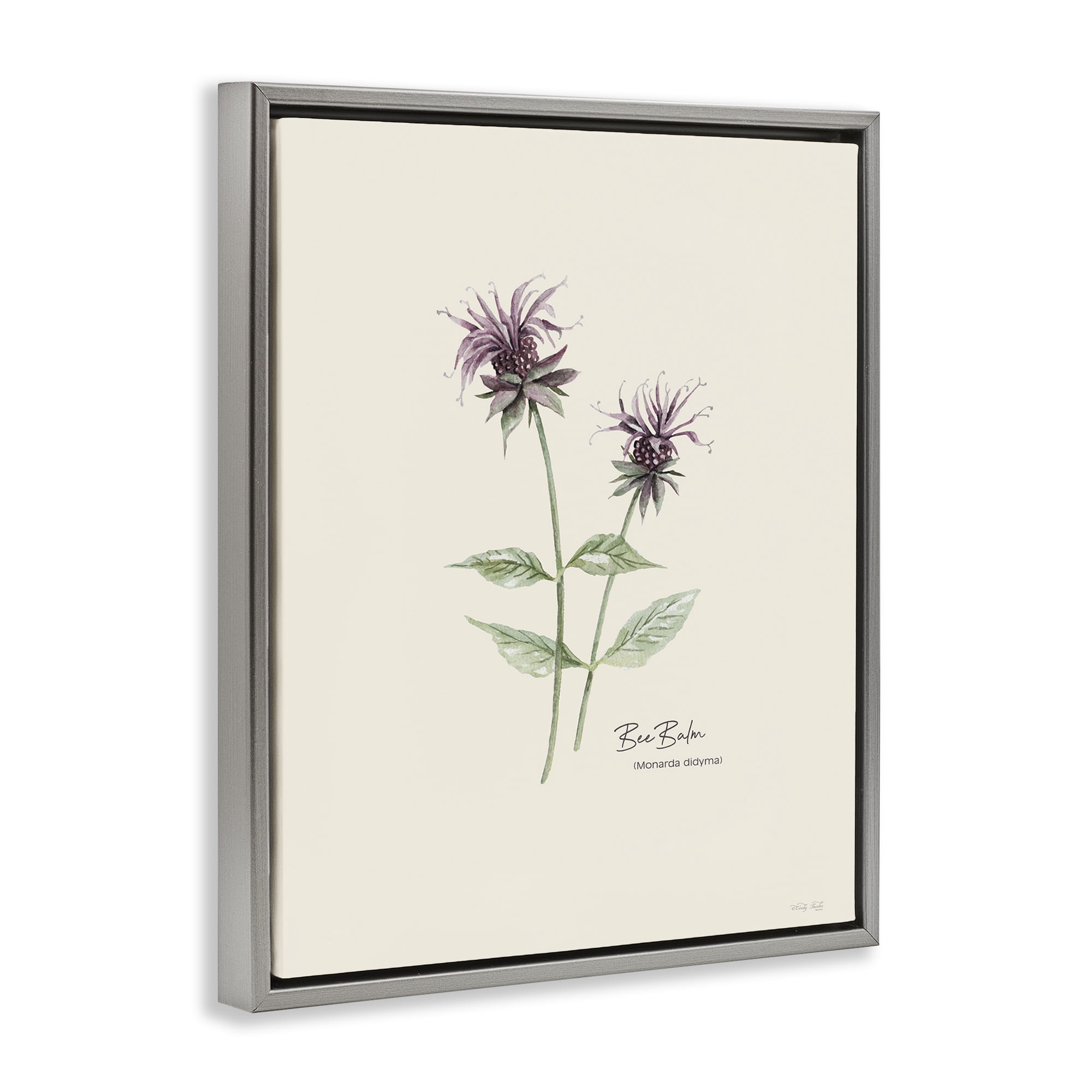 Stupell Industries Bee Balm Herb Botanical & Floral Painting Gray Floater Framed Art Print Wall Art, 17 x 21