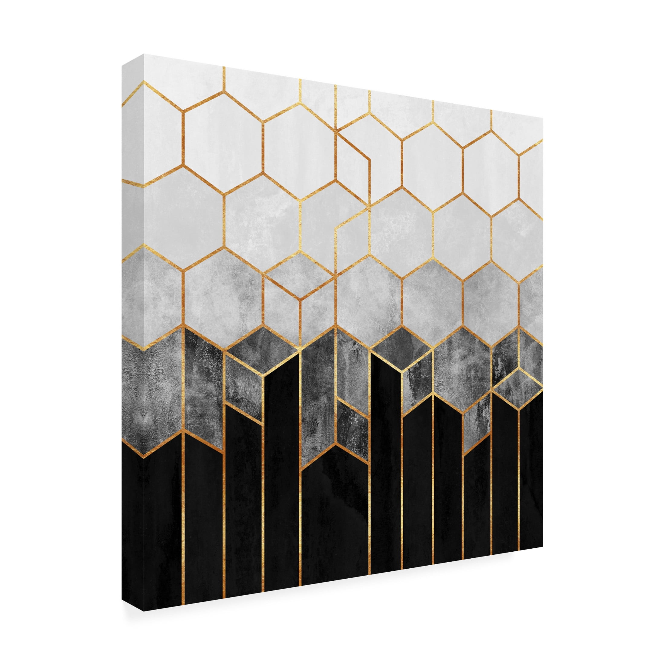Trademark Fine Art Elisabeth Fredriksson  Charcoal Hexagons Canvas Wall Art
