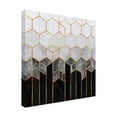 thumbnail image 4 of Trademark Fine Art Elisabeth Fredriksson  Charcoal Hexagons Canvas Wall Art, 4 of 4