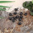thumbnail image 1 of Cuenta negra de plástico de 20 piezas Ehuebsd con aparejo giratorio enrollable, 1 of 6
