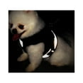 thumbnail image 4 of Pet Harness and Leash，Soft Breathable Padded Vest Harnesses for Cat Dog Outdoor Walking Step-in Adjustable Comfortable Dog Cat Vest Harness with Reflective Strap, 4 of 8
