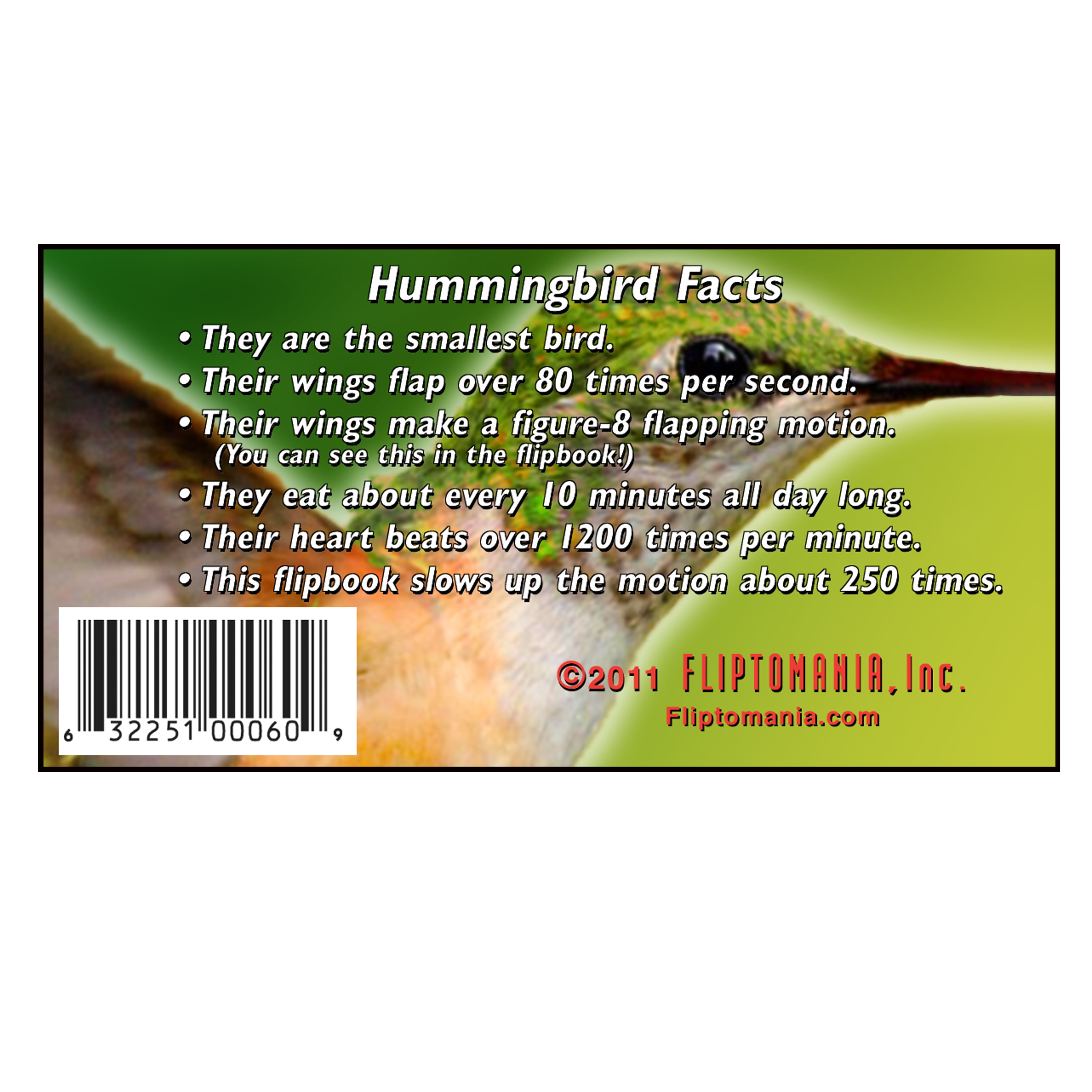 and Frog Flip Books Butterfly Fliptomania Nature Flipbook 3-Pack Hummingbird