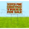 thumbnail image 1 of Scotch Pine Christmas Trees For Sale (18" x 24") Yard Sign, Includes Metal Step Stake, 1 of 6