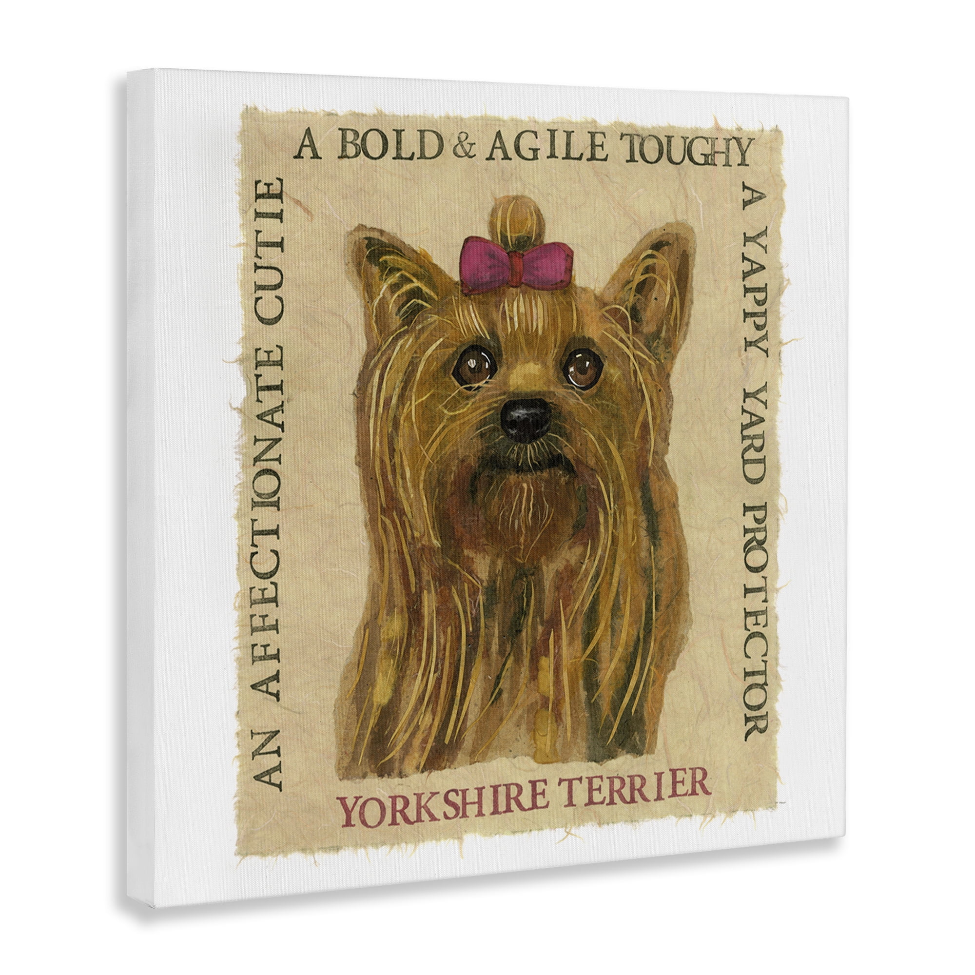 Stupell Industries Fun Yorkshire Terrier Phrases Animals Painting Wrapped Canvas Art Print Wall Art, 30 x 30