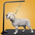 thumbnail image 2 of Country Brook Petz® Farm Life Y'all Spring Loaded Grooming Loop, 20 Inch, 2 of 5