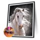 thumbnail image 2 of Wdftyju Kit de pintura de diamante 5D, caballo blanco, taladro redondo completo, diamantes de imitación, manualidades de pared DIY Wdftyju 6wu8te7ct8hh1wl6, 2 of 9
