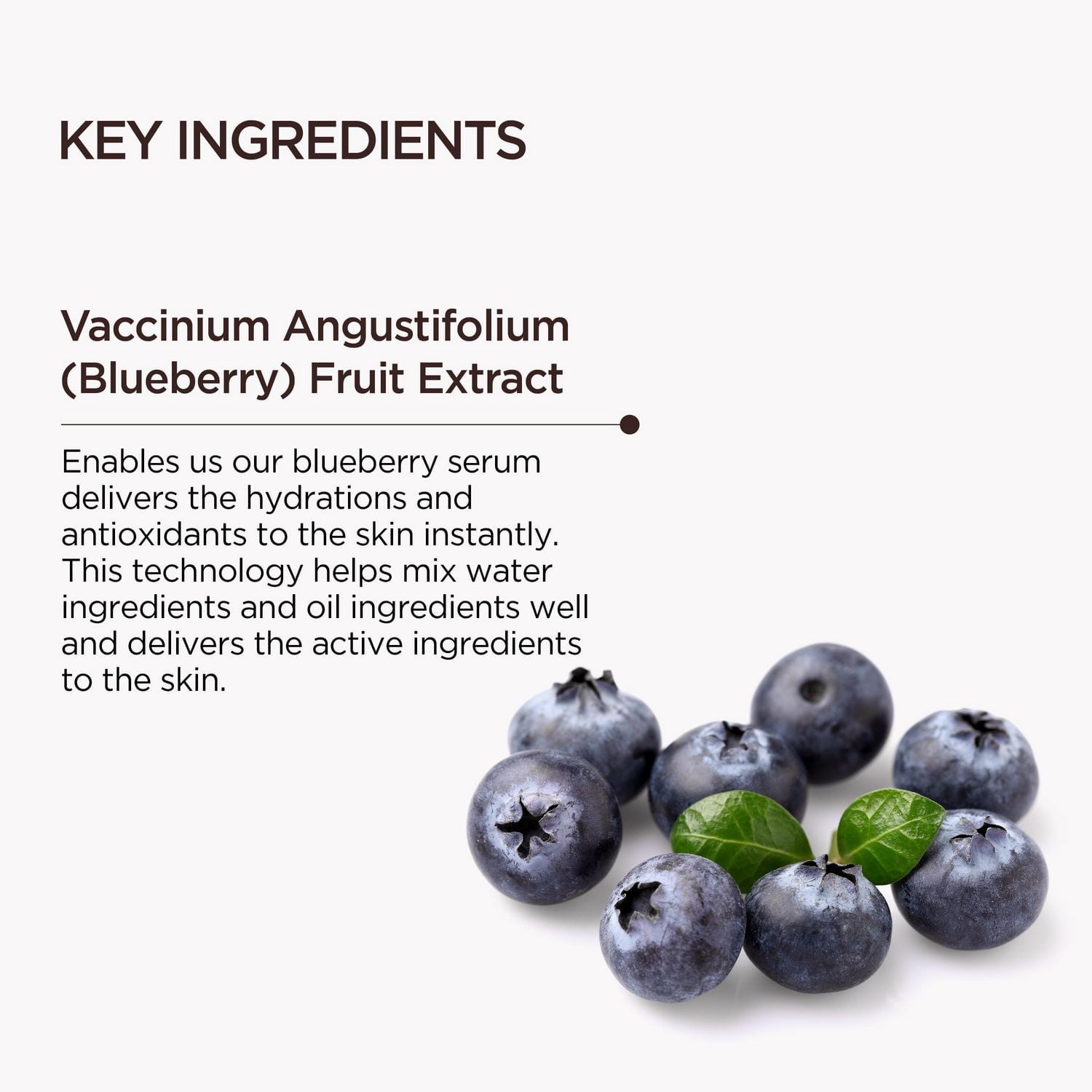 Food Story Hydratant Revitalisant Myrtille