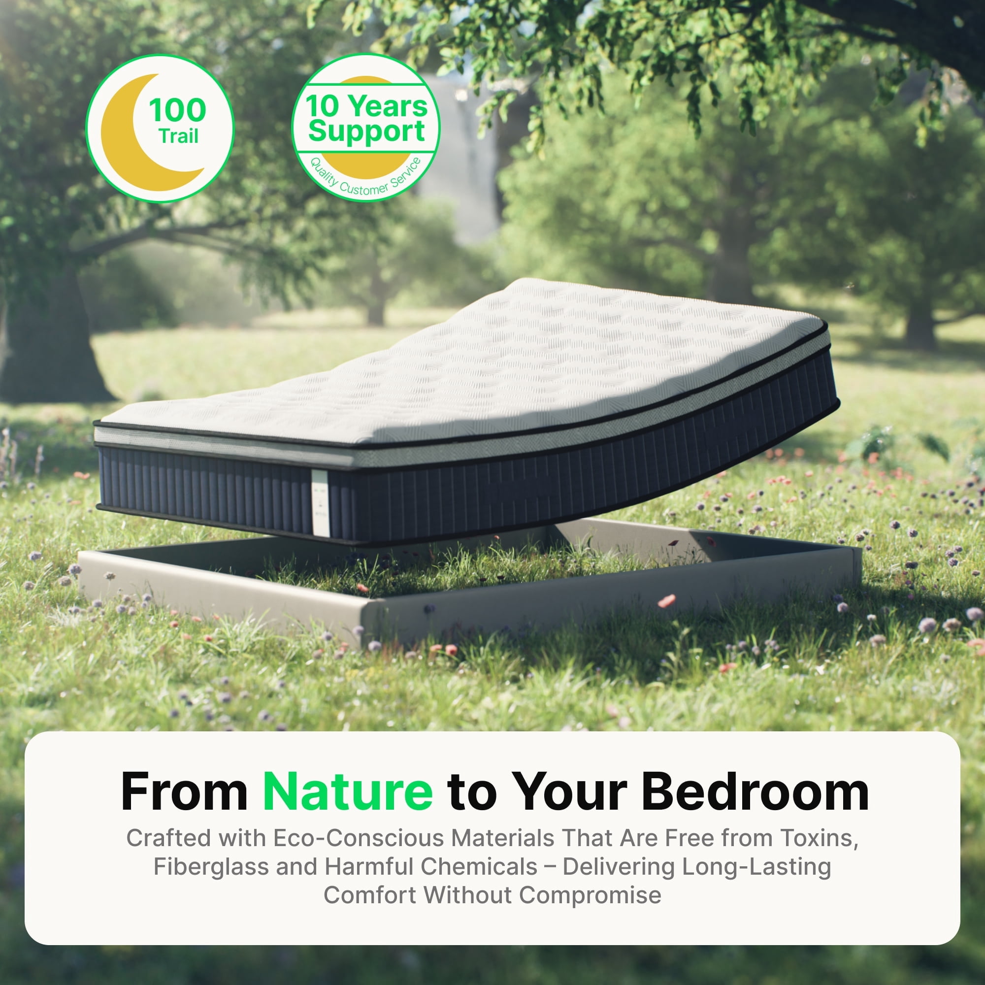 Behost 12 inch Queen Mattress in a Box, Euro Top Pocket Springs Mattress with 8-layer Support for Adults, Pressure Relief