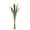 Basil, variant on Vickerman 36" Dark Brown Bahia Spears Seeded, 9 stems, Dried