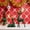 A8, variant on olkpmnmk 2Pcs Christmas Reindeer Figurines Decorations, Standing & Lying Plastic Deer Statues with Bow Bells, Reindeer Decor for Living Room, Holiday Home Desktop Display Christmas Table Decor