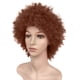 thumbnail image 4 of Xihbxyly Ofertas de iluminación Pelucas sintéticas rizadas marrones para mujeres Peluca corta natural, 4 of 5