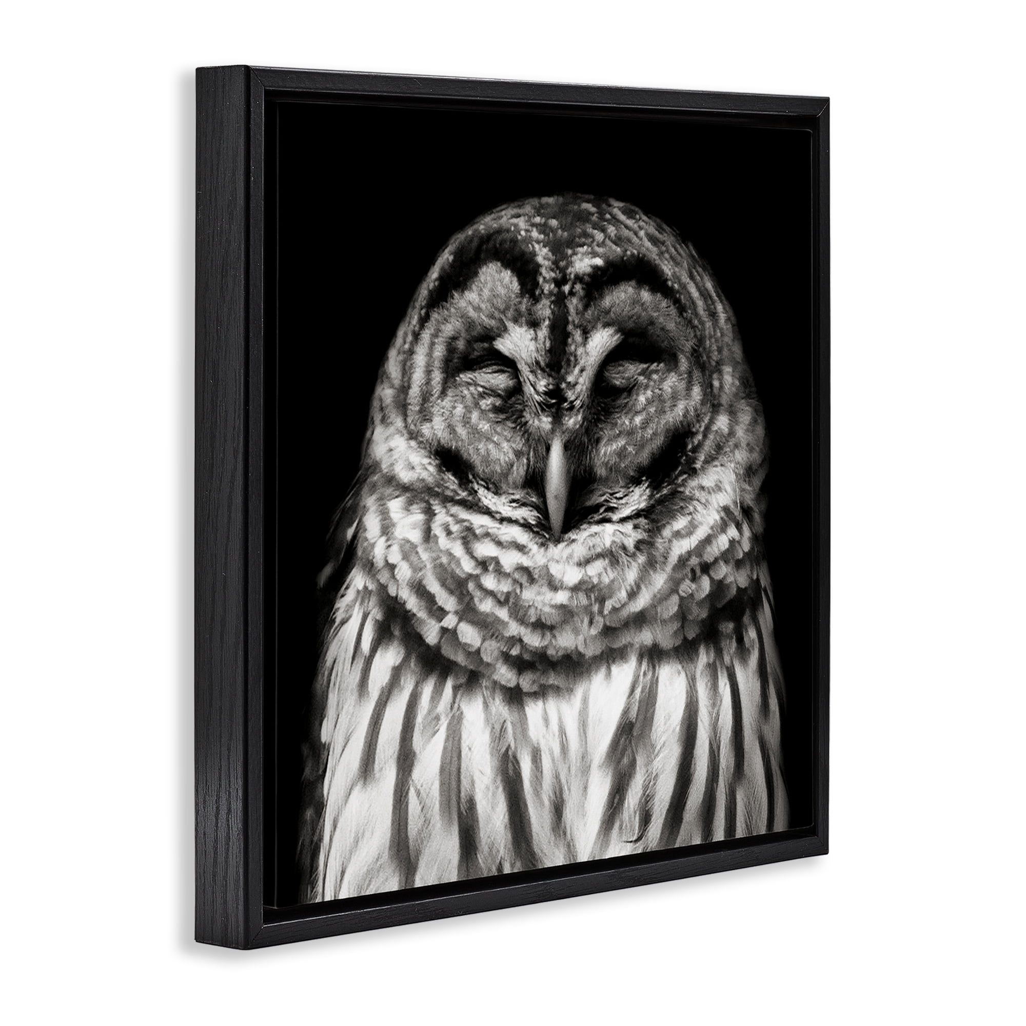 Stupell Industries Sleeping Owl Portrait Animals & Insects Photography Black Floater Framed Canvas Art Print Wall Art, 25 x 25