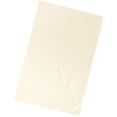 thumbnail image 1 of Mantel de universal, cama , paño plana para salón de cosméticos, Hotel Beige Gloria Cubierta de mesa de masaje impermeable, 1 of 9