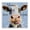 You're Moo-velous Cow Tongue, variant on Stupell Industries Just Horsin' Around Black Framed Giclee Art, design by Kim Curinga