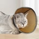 thumbnail image 4 of 1 Uds., funda para la cabeza transpirable y fresca de verano para mascotas, collar antilamer para gatos y perros, reparación postoperatoria, antilamer, 4 of 5
