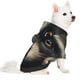 thumbnail image 2 of Fotbe Tribal Style Raccoon Sudadera con Estampado para Perros Pequeños – Suéter con Capucha para Mascotas, Tela Suave de Forro Polar con Bolsillo-X-Small, 2 of 7
