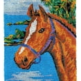 thumbnail image 2 of Horse | Rug Making Latch Hooking Kit, 2 of 9