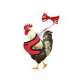 thumbnail image 1 of Adjustable Chicken Leash Elastic Rope With Comfortable Breathable Pet Rope, 1 of 1