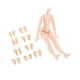 thumbnail image 5 of Muñeca 1/6 Hugo Piezas desnudas femeninas pares de manos Cosplay DIY piel blanca, 5 of 8
