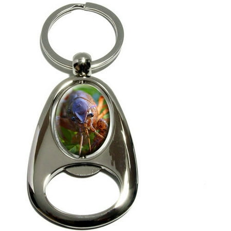 Crayfish Crawfish Crawdad, Freshwater Crustacean, Chrome Plated Metal Spinning Oval Design Bottle Opener Keychain Key