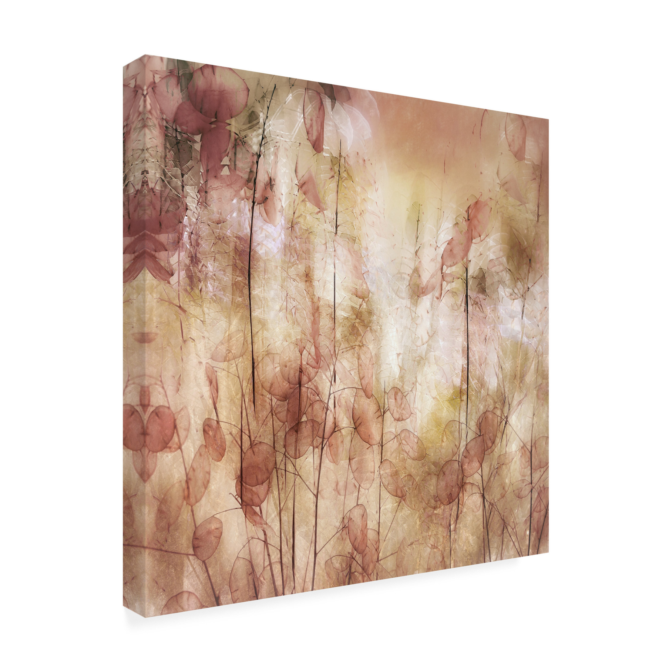Trademark Fine Art Nel Talen Seed pods Canvas Wall Art